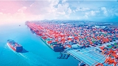 Thống kê các vụ điều tra chống trợ cấp đối với hàng hóa Việt Nam tại thị trường nước ngoài tính đến 30.06.2021