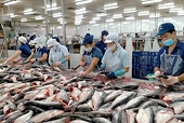 Xuất khẩu thủy sản sang Trung Quốc bất lợi, doanh nghiệp tìm kiếm thị trường mới