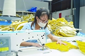 Dịch diễn biến phức tạp, khó dự liệu xuất khẩu cả năm