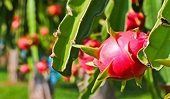 Rộng mở cơ hội để hàng Việt vào thị trường Nga