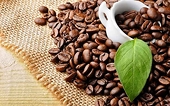 Anh giảm nhập khẩu cà phê từ thị trường Việt Nam