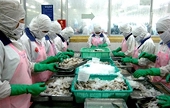 Covid-19 đã ‘xuyên thủng’ xuất khẩu thuỷ sản Việt Nam