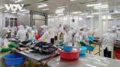 EU sẽ tăng lượng nhập khẩu thủy sản thời gian tới