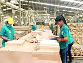 Cân nhắc nhập khẩu gỗ bằng tàu rời để đảm bảo nguồn nguyên liệu