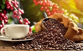 Cơ hội và thách thức đối với cà phê Việt Nam tại thị trường Bắc Âu