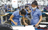 Dệt may Việt Nam xuất sang EAEU vượt ngưỡng ưu đãi thuế quan