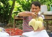 Kẹt cảng khiến nông sản xuất khẩu bị ảnh hưởng lớn