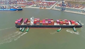 Giá cước vận tải biển của Việt Nam thấp nhất trong khu vực trên cùng tuyến