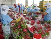 Doanh nghiệp sản xuất thực phẩm xuất khẩu vào Trung Quốc cần đăng ký gấp