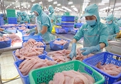 VASEP: Dự báo xuất khẩu thủy sản năm nay chỉ đạt 8,4 tỷ USD