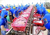 Xuất khẩu thủy sản: Kỳ vọng từ các mặt hàng chủ lực