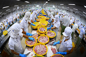 Ngành thủy sản tăng tốc đơn hàng dịp cuối năm