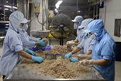 EU đưa ra 4 cảnh báo với sản phẩm Việt Nam xuất khẩu trong tháng 10