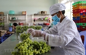 Nhập cuộc thương mại xuyên biên giới cùng sản phẩm lợi thế
