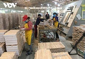 Doanh nghiệp xuất khẩu gỗ mong sản xuất phục hồi để đủ nguồn nguyên liệu