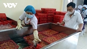 Doanh nghiệp vẫn chưa nắm rõ quy tắc xuất xứ hàng hoá xuất khẩu