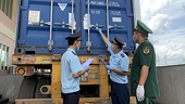 Không thu thuế đối với hàng tái nhập nếu thời điểm làm thủ tục nộp đủ hồ sơ
