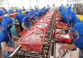 Kim ngạch xuất khẩu thủy sản của Việt Nam dự kiến cán đích 8,67 tỷ USD