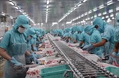 Trung Quốc ra ‘luật chơi’ mới, cơ hội để ngành thủy sản Việt Nam chuẩn hóa