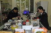 Sửa quy định thủ tục kiểm dịch thực vật xuất, nhập khẩu