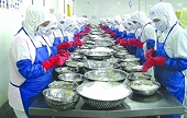 Xuất khẩu tôm “nhắm” 3,9 tỷ USD năm 2022