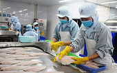 Năm 2021, ngành thủy sản "thoát hiểm" ngoạn mục