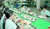 Tận dụng tốt FTA tạo sức bật xuất khẩu vào Mỹ Latinh