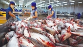 NCIF: Doanh nghiệp vẫn đối mặt với việc gián đoạn chuỗi cung ứng