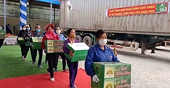 Lô bưởi Đoan Hùng đầu tiên xuất khẩu sang Nga