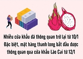 Xuất khẩu chính ngạch sẽ là giải pháp căn cơ