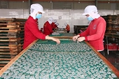 Công cụ phòng vệ thương mại - giải pháp bảo vệ lợi ích doanh nghiệp