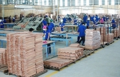 Phòng vệ thương mại sẽ là giải pháp then chốt để bảo vệ doanh nghiệp năm 2022