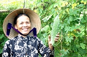 Đòn bẩy để nông sản Việt đi xa
