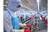 Nhiều cơ hội gia tăng thị phần xuất khẩu tôm sang Mỹ