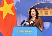 Áp thuế chống bán phá giá mật ong Việt Nam cần khách quan, công bằng