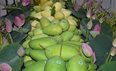 Xoài Đồng Tháp 'vượt biên' sang châu Âu