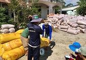 Gian nan xây dựng thương hiệu gạo Việt