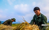 Thị trường EU mở ra nhiều cơ hội cho nông sản Việt