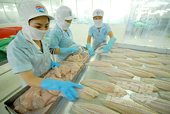 Cá tra tận dụng đà phục hồi, chớp cơ hội xuất khẩu mới