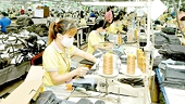 Rào cản kỹ thuật “bủa vây” hàng xuất khẩu
