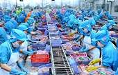 Phòng vệ thương mại trong ngành thủy sản: Không thể xem nhẹ