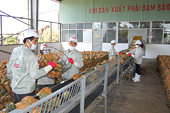 Yêu cầu cao hơn về giám sát đối với thực phẩm nhập khẩu vào Trung Quốc