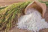 Bộ Công Thương ban hành Thông tư quy định việc nhập khẩu mặt hàng gạo và lá thuốc lá khô có xuất xứ từ Vương quốc Campuchia theo hạn ngạch thuế quan năm 2021 và năm 2022