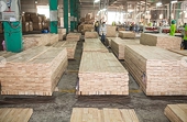 Chiến sự Nga - Ukraine tác động ra sao đến xuất nhập khẩu gỗ của Việt Nam?