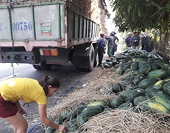 Thị trường Trung Quốc thay đổi lâu rồi, nhiều doanh nghiệp không chịu hiểu, nên bị động