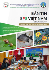 Bản tin SPS Việt Nam Số 16, tháng 12 năm 2021