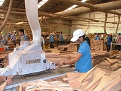 Phấn đấu đến năm 2025, giá trị gỗ, sản phẩm gỗ tiêu thụ nội địa đạt 5 tỷ USD