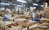 Ngành gỗ khai thác hiệu quả các FTA