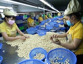 Xuất khẩu điều: Bài học cảnh giác để phòng tránh bị lừa đảo