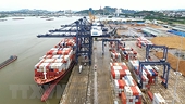 Thông tư số 07/2022/TT-BCT hướng dẫn thực hiện các biện pháp Phòng vệ thương mại trong RCEP